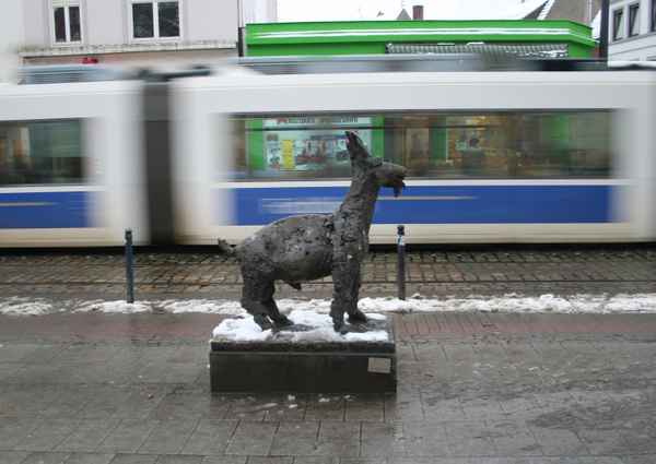 Ziege