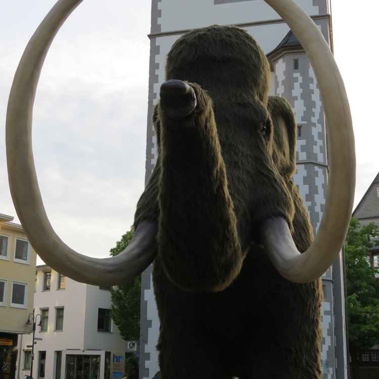 ein Mammut in Gießen