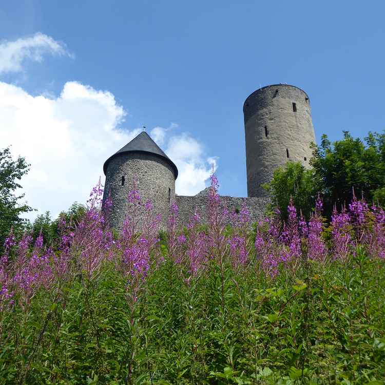 Nürburg im Sommerflor