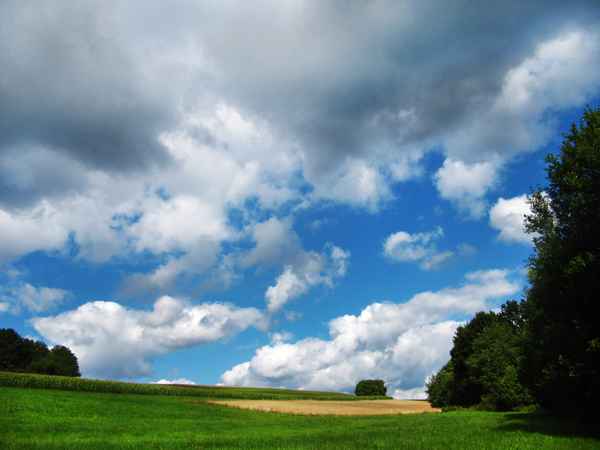 Sommerlandschaft pur