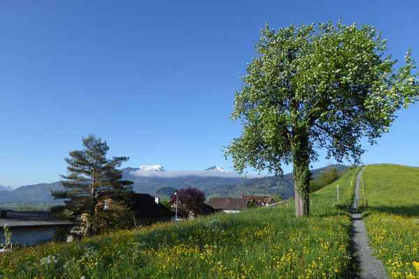Kein Zweifel: Frühlingszeit