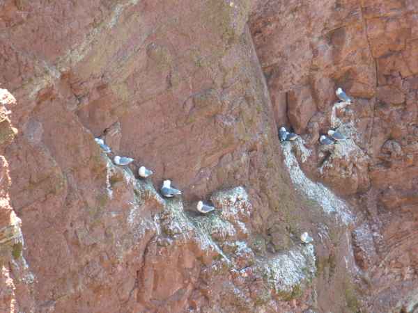 Helgoland
