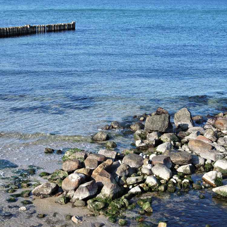Steine in der Ostsee