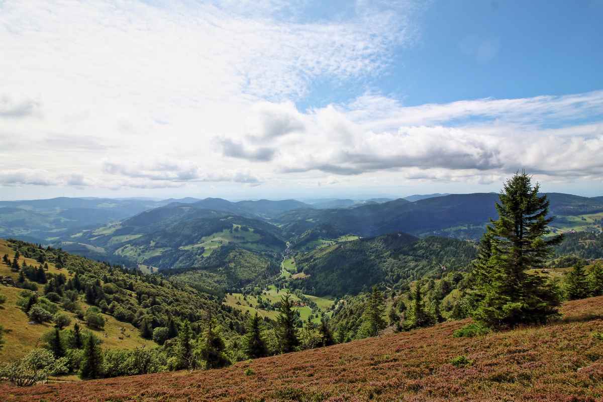 Schwarzwald - Talblick vom Belchen