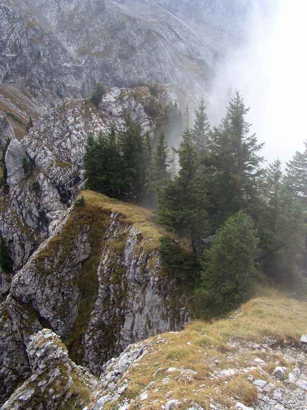 Nebel in den Bergen