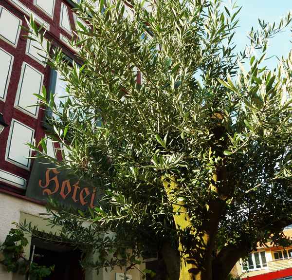 Hotel neutral