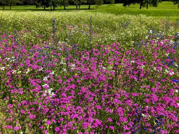 Bienenfutter