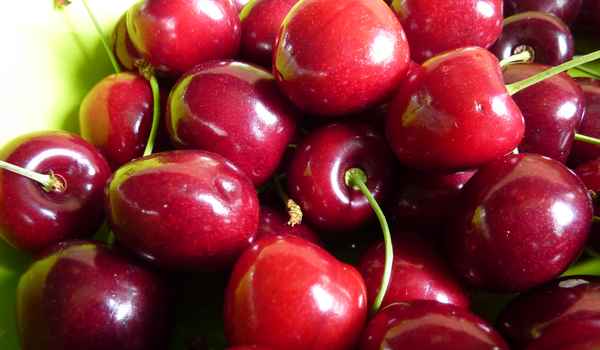 Kirschen direkt vom Baum
