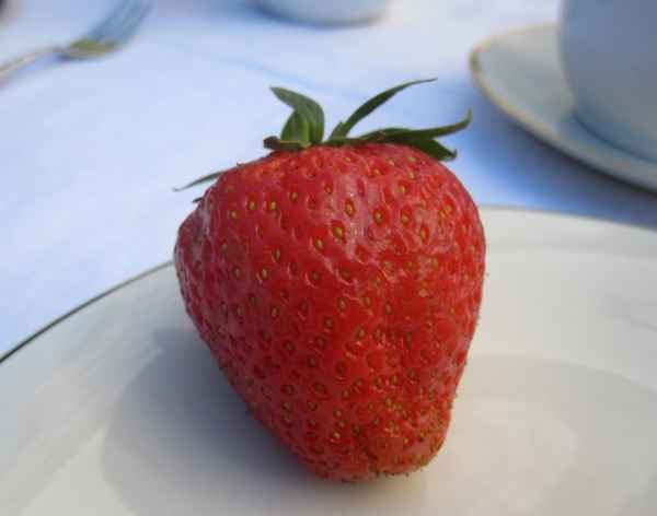 Leckerbissen