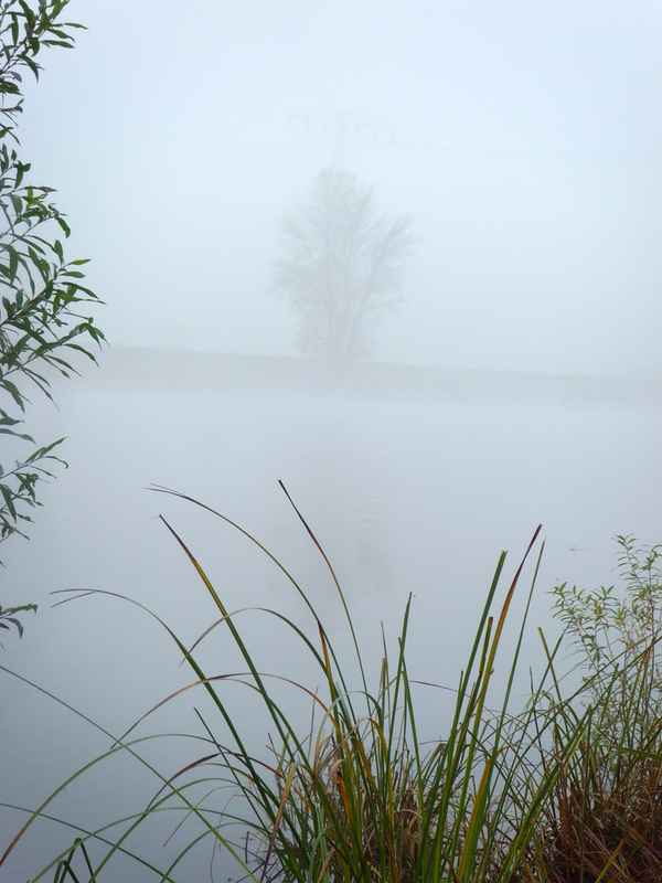 Herbstmorgen im Landschaftsschutzgebiet Mittleres Elbtal  III