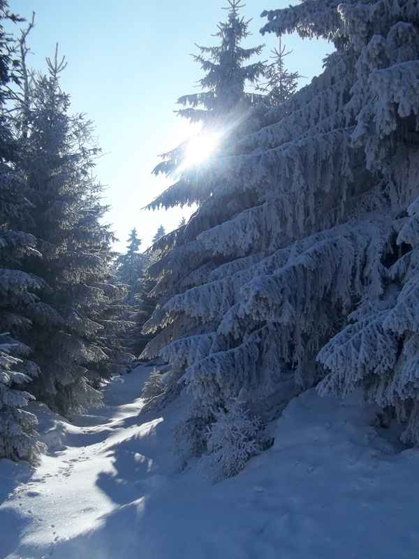 Zauberweg