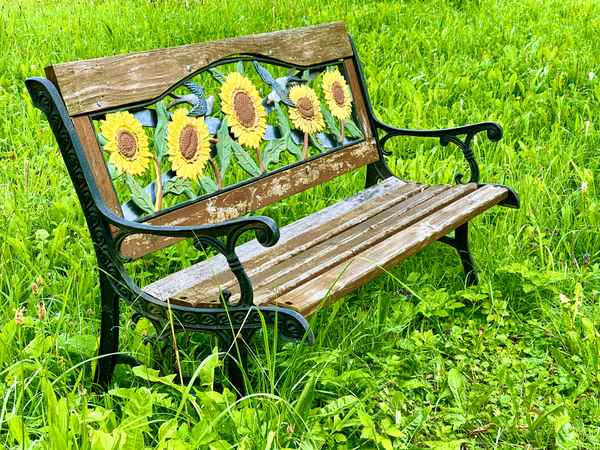 Sonnenblumenbank