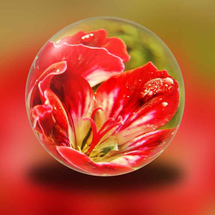 blumen