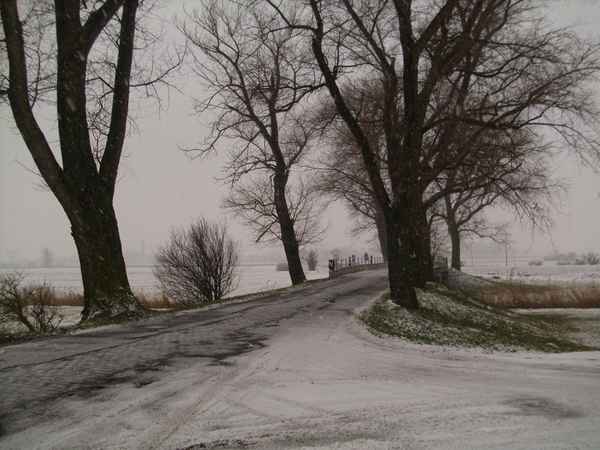 Landstraße im Winter