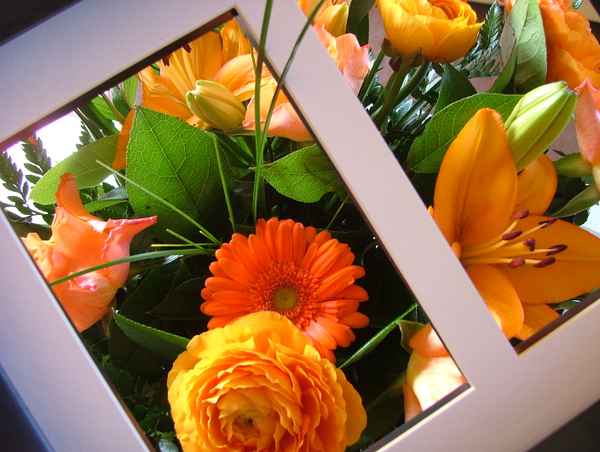Gerahmte Blumengrüße