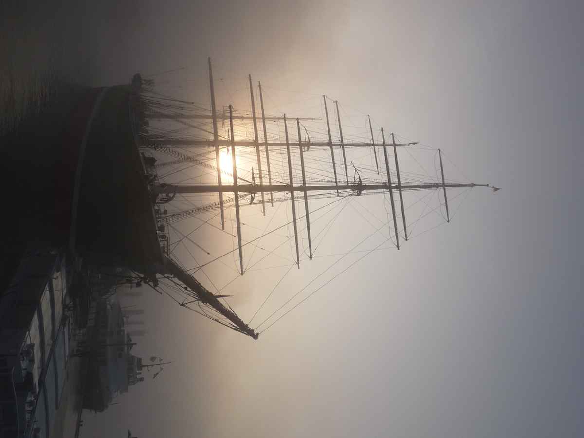 Rickmer Rickmers im Nebel