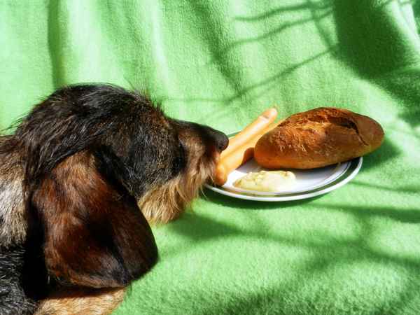 Der Wurstdieb...