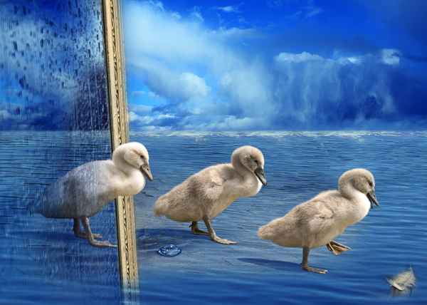 digitale traumwelt oder die herzensbrecher im gänsemarsch