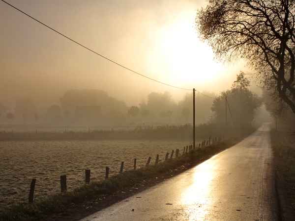 goldiger herbst