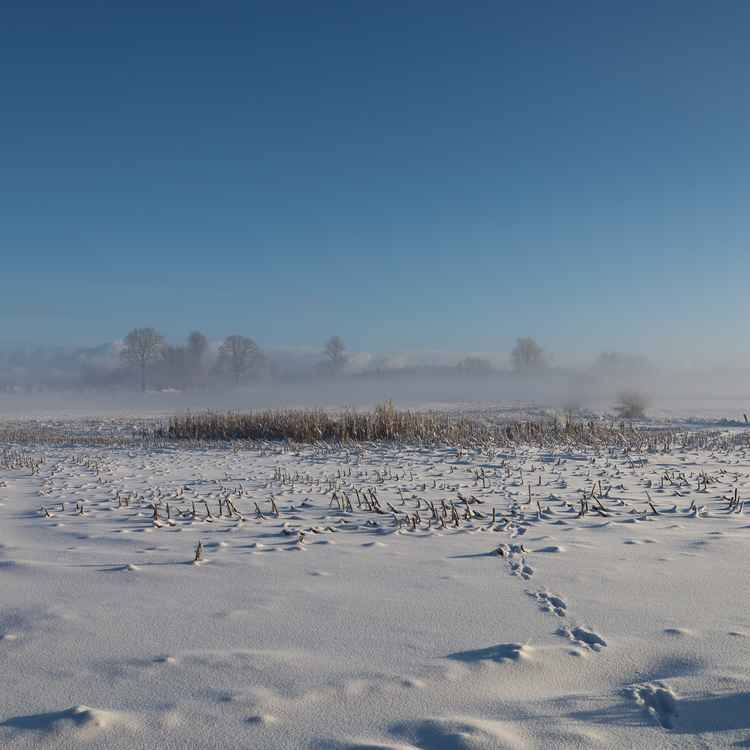 Winterwunderland