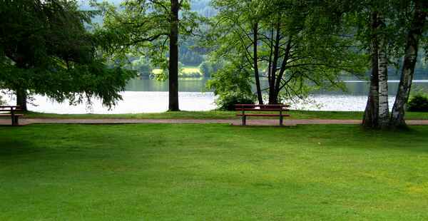 Titisee mit Ruhebank_2