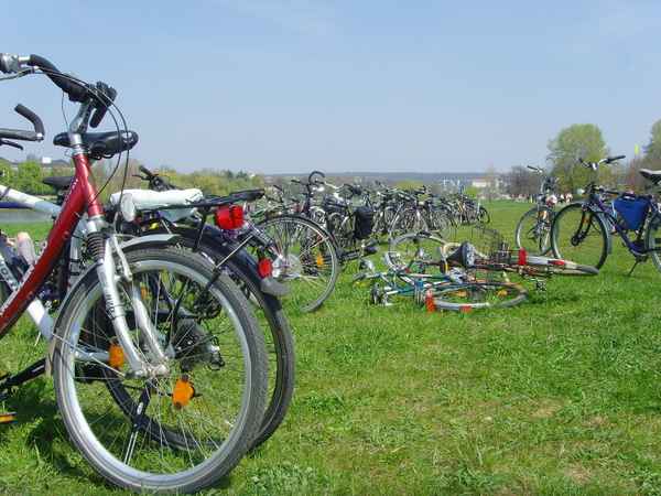 Fahrrad-Tour-Pause am Elbufer - Dresden