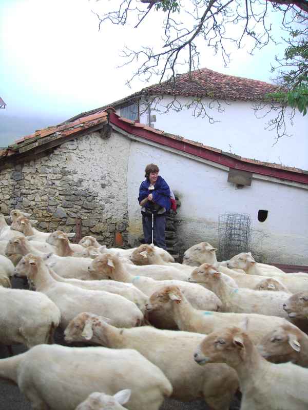 Begegnung im Baskenland