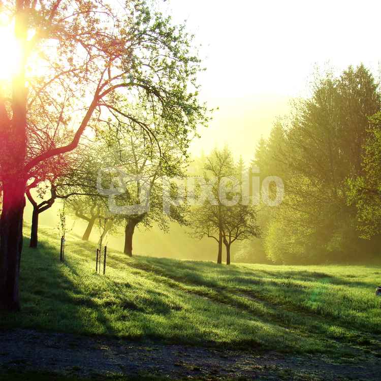 Sonnenaufgang im Mühlviertel