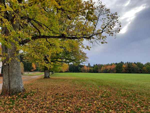 Herbsttag im Schwarzwald