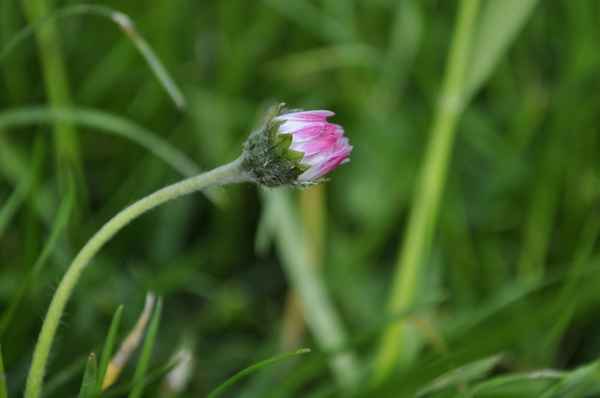 wegen zu geschlossen