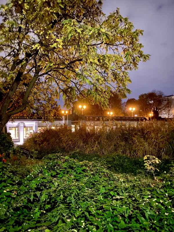 Volkspark Schöneberg