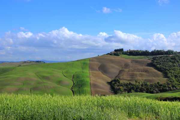 Toskana im Herbst (2)