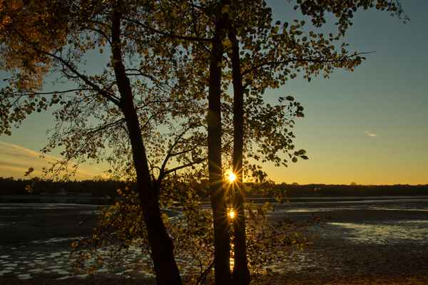 Oktoberabend am Weiher