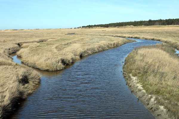 Fluss in den Salzwiesen