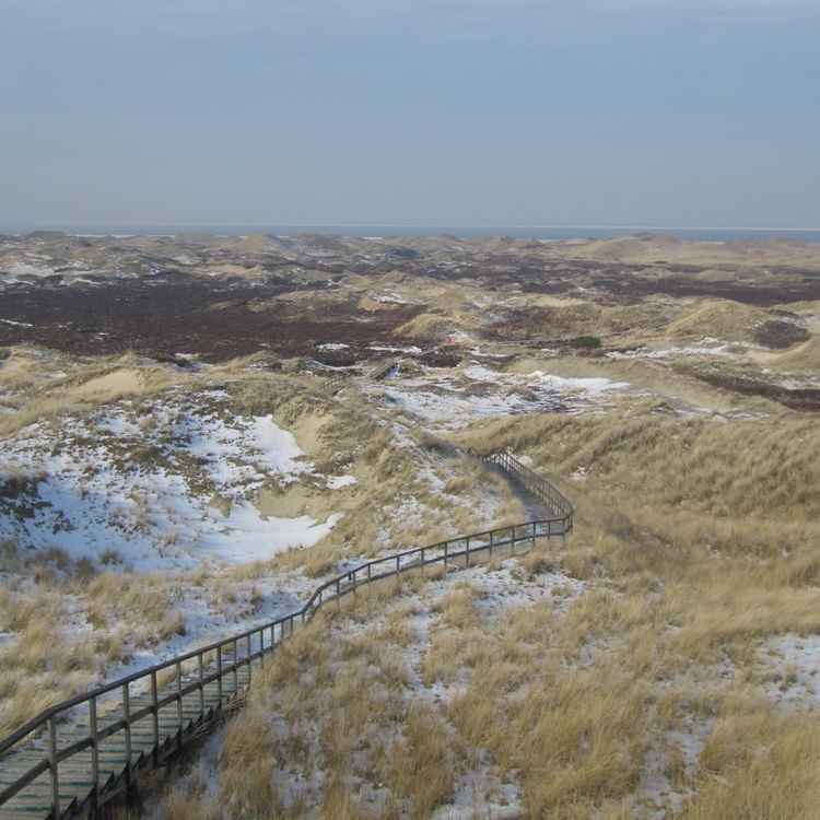 Winterdünenlandschaft