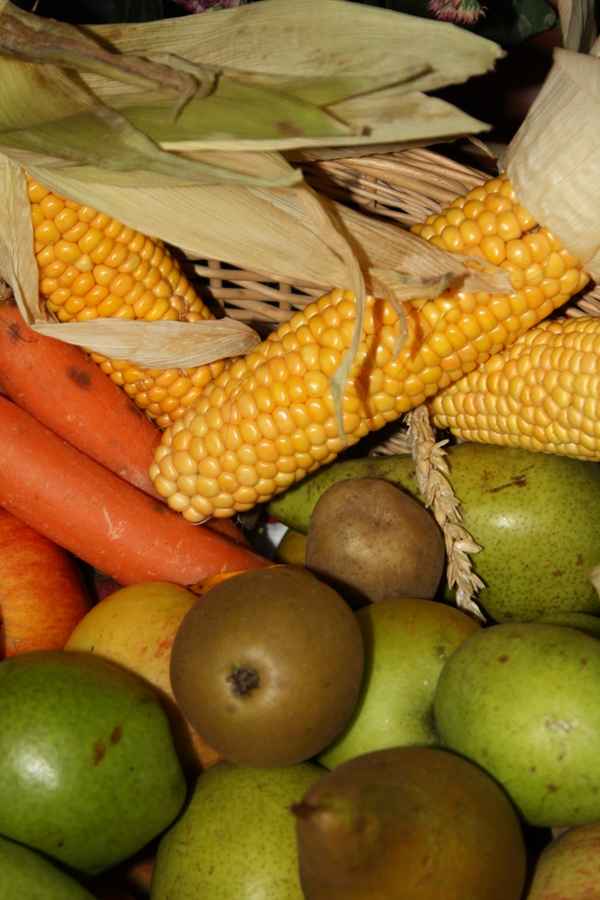 Gesund und lecker