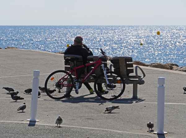 Rast an der Küste