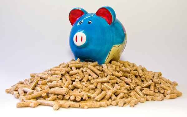 Sparschwein auf Pellets