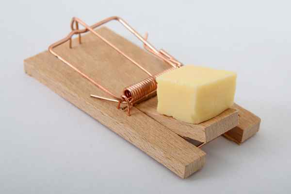 Mausefalle I