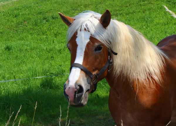 Auf Schmusekurs...01