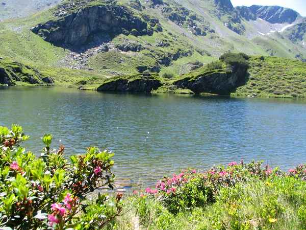 Sommer im Hochgebirge10