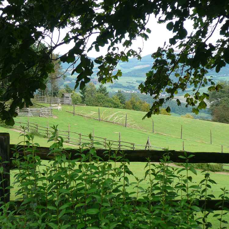 Natur pur mit Weitsicht!