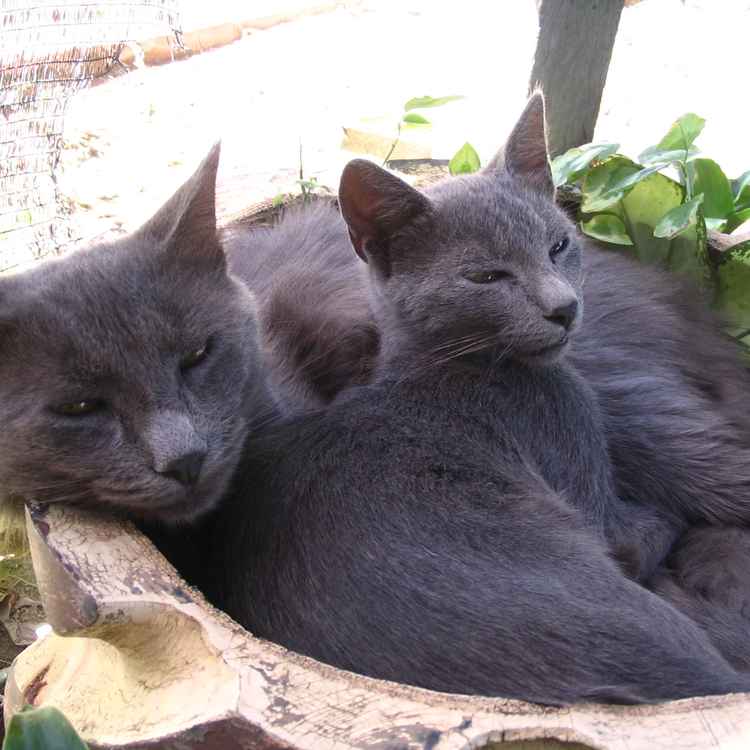 Kleiner Bruder & Ich