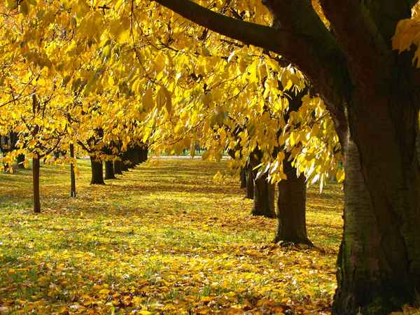November: grau,trist und trübe ...