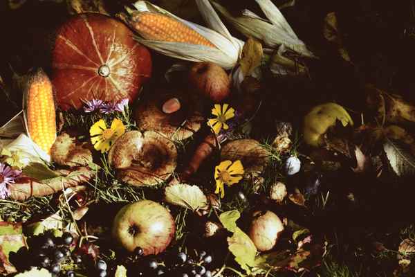 hab dank für deine gaben 2