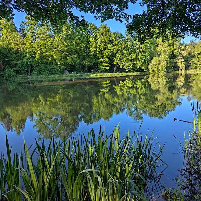 Seehhaus  See in Pforzheim