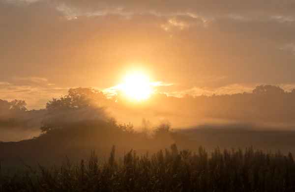 Lautlos zieht der Morgennebel übers land....