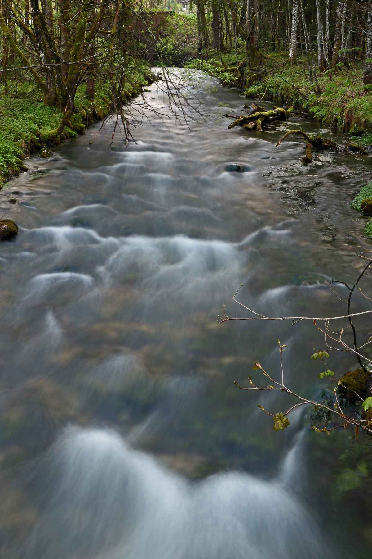Förchenseebach