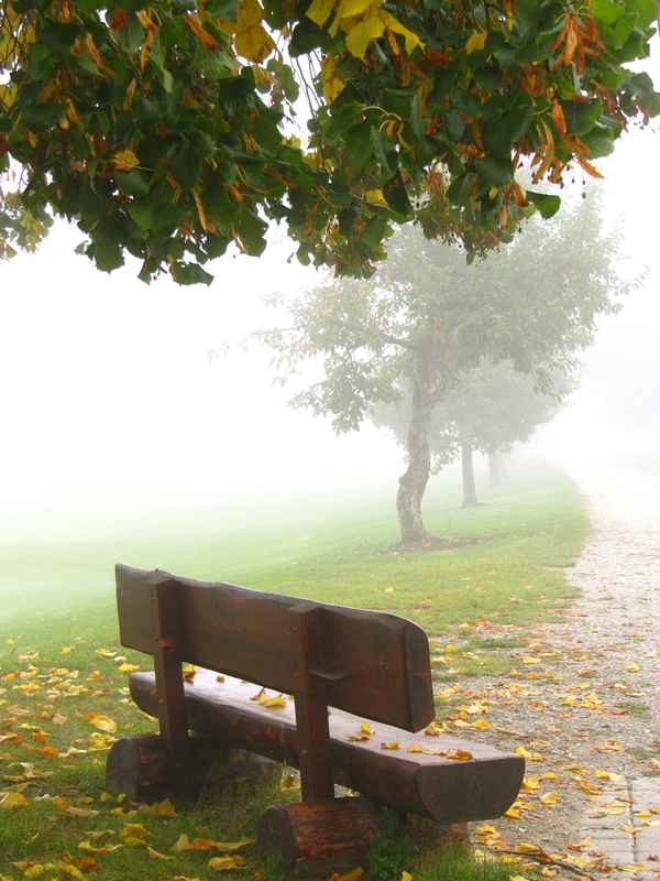 Morgennebel im Herbst