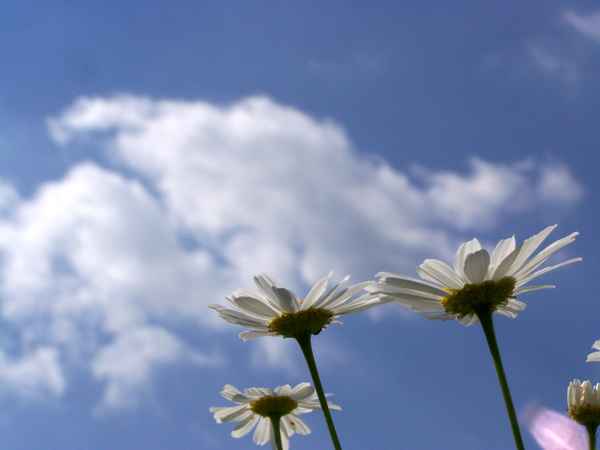 Touch the sky!